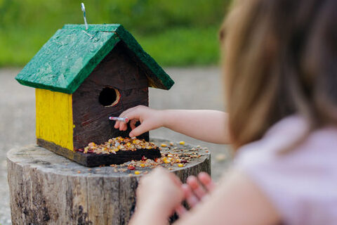 Kind legt Vogelfutter in ein Vogelhaus auf einem Baumstumpf