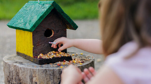 Kind legt Vogelfutter in ein Vogelhaus auf einem Baumstumpf