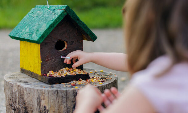 Kind legt Vogelfutter in ein Vogelhaus auf einem Baumstumpf