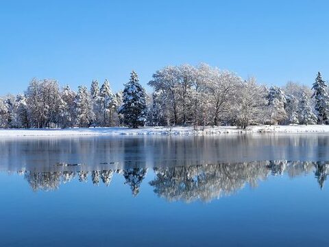 Eine Szenerie von einem See und vielen beschneiten Bäumen.